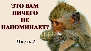 Как блогеры-целители "лечат" карманы онкобольных. Часть 2.