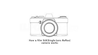 How a Film SLR Camera Works by ILFORD Photo