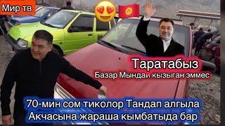 тико тик болду Арзан тиколор сиздер куткон видео