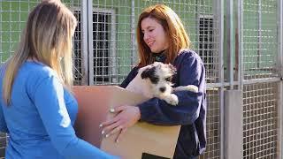 MSD Animal Health 2023