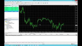 Attaching Pips Predator EA to MT4 Chart (Malay)