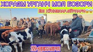 ХОРАЗМ | УРГАНЧ МОЛ БОЗОРИ ЁШ ХЎКИЗЛАРНИ ЗЎРЛАРИ ТУШДИ 22-декабря 2024 г.