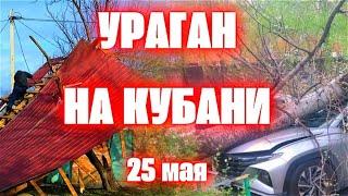 Ураган в Краснодаре сорвал крышу школы на детей. В Краснодарском крае штормовой ветер валит деревья