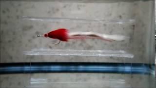 Streamer Fish Tank Swim Test - Pike Bunny Streamer 1