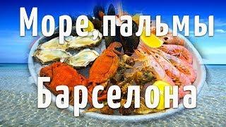 СОЛНЕЧНАЯ КАТАЛОНИЯ | МОРЕПРОДУКТЫ В БАРСЕЛОНЕ