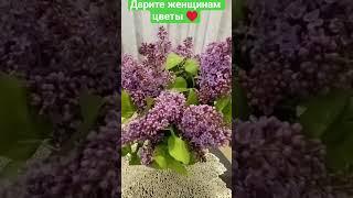 Дарите женщинам цветы. Красивый букет сирени #букет #цветы #сирень #весна