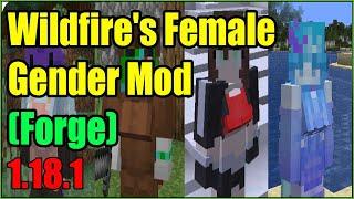 Wildfire's Female Gender Mod (Forge) Mod 1.18.1 Free Download and Install for Minecraft PC