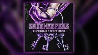 Electra X Preset Bank "GATEKEEPERS" 50+ "Dark , Analog Sounds