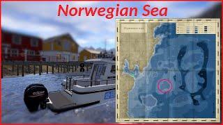 Russian Fishing 4 (RF4) Norwegian Sea getting Rich and catch RARE Fish on this Hole + SETUP