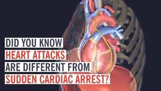 Heart Attack vs. Cardiac Arrest: What’s the Difference?