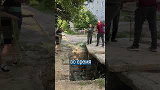 Собака 3 Года Прожила Под Землёй