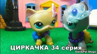 LPS: Циркачка 34 серия