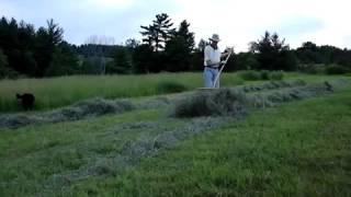 How to Make Hay with a Scythe
