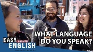 What language do you speak? | Easy English 34