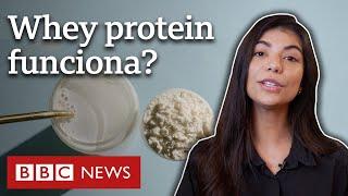 Whey protein: como suplemento ajuda a ganhar músculos e para quem é indicado