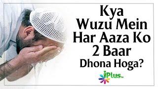 Kya Wuzu Mein Har Aaza Ko 2 Baar Dhona Hoga? By Dr. Tariq Shafiur Rehman Madani iPlus TV Deeni QA
