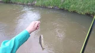 Nebraska Trout Fishing Tour