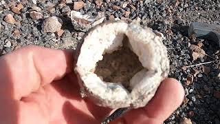 GEODES! What they are, how they form, and more with geology professor, Shawn Willsey