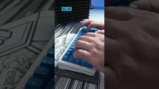 Akko V3 Cream Blue vs Akko V3 Cream Blue Pro Sound Test