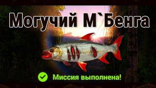 Fishing Planet. Рыбы Монстры. Могучий М'Бенга (Река Конго)