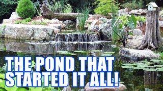THE POND THAT STARTED IT ALL! : Greg Wittstock, The Pond Guy