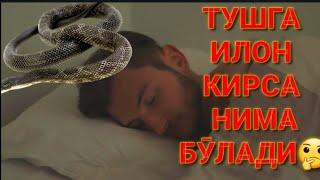 ТУШГА ИЛОН КИРСА НИМА БӮЛАДИ #valijontv#layk туш табири