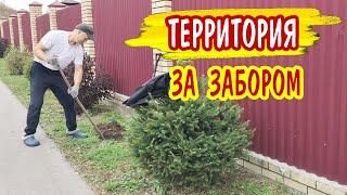 Опять наводим красоту за забором! Главное, чтобы не выкопали!