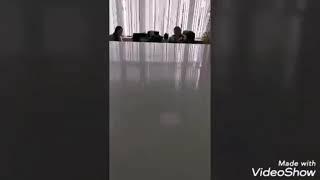 Xama korsin, melitsiyaxodimlari