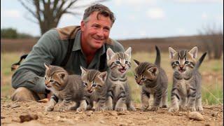 Man Found Stray Kittens In His Barn, But They Turned Out To Be Wild Kittens || Interesting Story