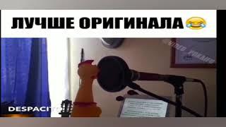 Курица поёт despacito