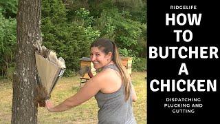 HOW TO Butcher and Process a Chicken | The Easy Way