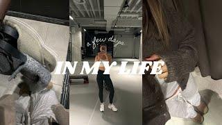 THE FALL DIARY  // 5am gym morning routine, getting out of my comfort zone & cozy vibes | SASKIA