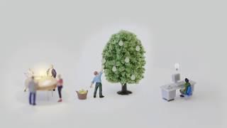 Smart villages: Revitalising Rural Services