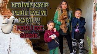 KEDİMİZ KAYIP PERİLİ EVEMİ KAÇTI !! PERİLİ EVE GİRDİK AKLIMIZ GİTTİ !!