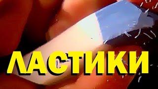 Галилео. Ластики