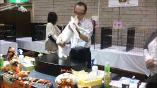 LH Trainee Koji Kanise | Judge Aki Tamura 27/10/2013 Tokyo