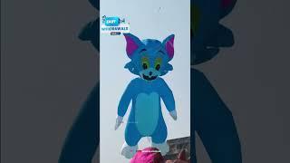 Unique Kites From Around The World #shorts #kiteflying #patang #youtubeshorts #uniquekites