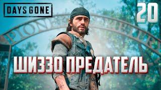 DAYS GONE ►ЖИЗНЬ ПОСЛЕ # 20 - шиззо предатель ! (прохождение)