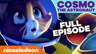 44 CATS  Brand New Show (FULL EPISODE) | Nick
