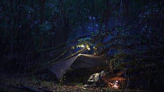 Camping in a Rainstorm: Surviving a Dark & Gloomy Rainforest