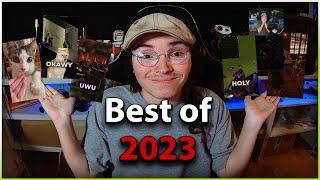 BayDoesGames Best Of 2023 Shorts