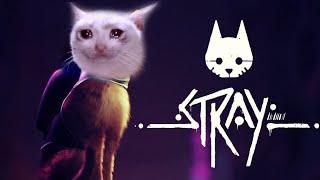 STRAY - Жизнь Котэ ( yab poigral ябы поиграл oleg kerman )