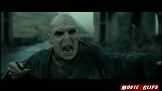 Harry Potter defeated Voldemort in the Battle of Hogwarts ️