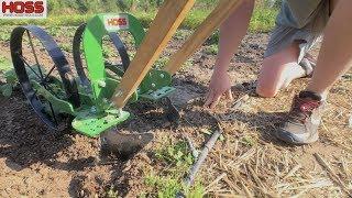 Hilling Potatoes with the High Arch Wheel Hoe