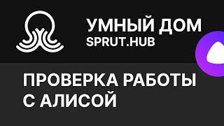 SPRUT.HUB - Проверяем, как работает с Алисой - Яндекс Дом