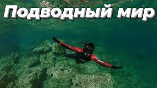 Активная жизнь - на Майорке! Подводный мир...¡Una vida activa en Mallorca! Mundo submarino...