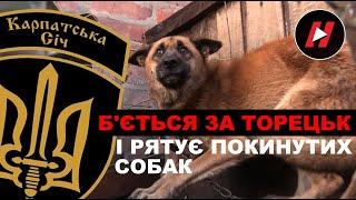 49-й БАТАЛЬЙОН "КАРПАТСЬКА СІЧ" б'ється за Торецьк і рятує покинутих собак