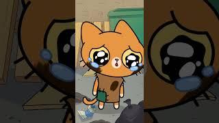 SIMBA has lost EVERYTHING! #simbochka #simba #animation #cat