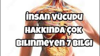 İnsan Vücudu Hakkında Çok Bilinmeyen 7 Bilgi