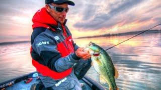 Fishing for Bass with the New Rapala Shadow Rap Shad